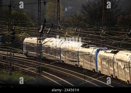 Rhine-Ruhr-Express, RRX sui binari, tracciato ferroviario, linea ferroviaria ad ovest della stazione principale di Essen, NRW, Germania, Foto Stock