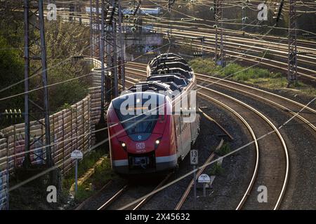 Treno regionale, RB 33, sui binari, tracciato ferroviario, linea ferroviaria ad ovest della stazione principale di Essen, NRW, Germania, Foto Stock