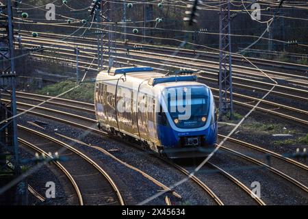 Treno espresso regionale, RE14, RheinRuhrBahn, treno diesel, sui binari, tracciato ferroviario, linea ferroviaria a ovest della stazione principale di Essen, NRW, Germania Foto Stock