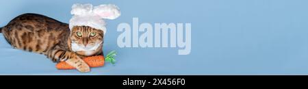 Carino gatto del Bengala in costume da coniglietto. Il gatto si siede su uno sfondo blu e indossa un grazioso cappello con le orecchie da coniglio. Concetto di buona Pasqua Foto Stock