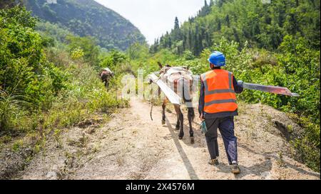 AnShun, la provincia cinese di Guizhou. 29 aprile 2024. Un lavoratore e un mulo con materiali da costruzione camminano nelle montagne della contea autonoma di Zhenning Buyi e Miao, nella provincia di Guizhou, nel sud-ovest della Cina, 29 aprile 2024. La costruzione della sottostazione 500 kV Bahe di China Southern Power Grid è entrata di recente nella fase finale. Il completamento del progetto è previsto per la fine di giugno. Crediti: Tao Liang/Xinhua/Alamy Live News Foto Stock