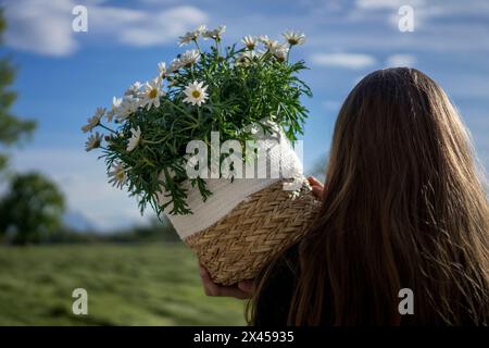 ragazza o donna con i capelli lunghi con i fiori di margherita in un vaso da basket verso il cielo blu Foto Stock