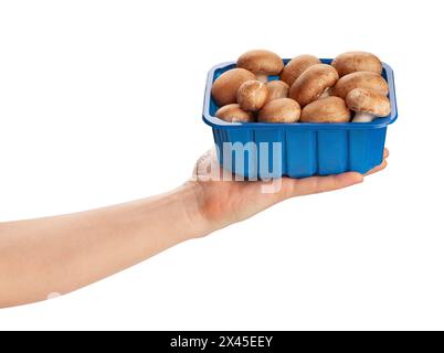 pacchetto di funghi marroni nel percorso della mano isolato su bianco Foto Stock