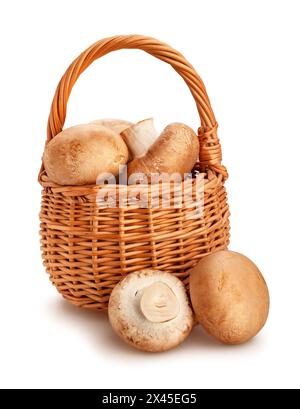 percorso cestello a funghi marrone isolato su bianco Foto Stock