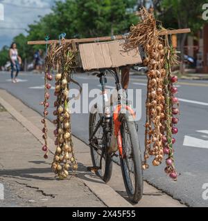 Una bicicletta venditrice di cipolle parcheggiata sul lato della strada principale attraverso il centro di Vinales, Cuba Foto Stock