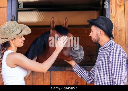 Giovane donna e uomo che si prendono cura di un cavallo nella stalla. Foto Stock