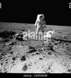 Membro dell'equipaggio dell'Apollo 12 che raccoglie campioni sulla luna 1969 Foto Stock