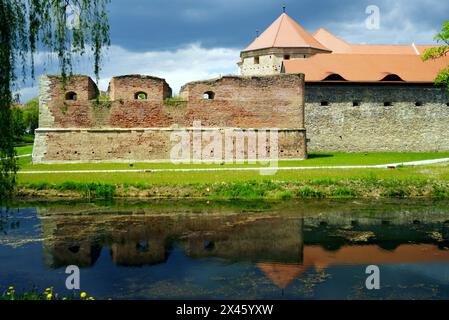 Paesaggio tempestoso con la fortezza di Fagaras in Transilvania (Romania) Foto Stock