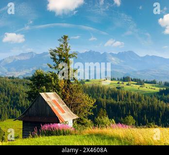 Periferia estiva serale del villaggio di montagna con fiori rosa e capannone di legno davanti e Tatra dietro (Gliczarow Gorny, Polonia) Foto Stock