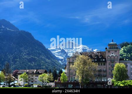 Parco Höhematte con la Jungfrau sullo sfondo Interlaken Svizzera Foto Stock