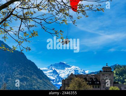 Parapendio in tandem che scendono verso il Parco di Höhematte, sullo sfondo lo Jungfrau. Interlaken Svizzera Foto Stock