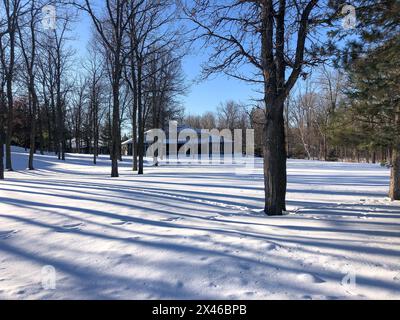 Splendido giardino coperto di neve, con strato bianco ghiacciato sul prato e alberi che gettano ombre sul cortile durante il sole invernale con un blu brillante Foto Stock