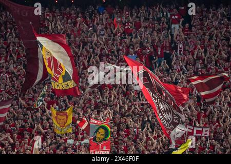 Monaco, Germania. 30 aprile 2024. Monaco, Germania, 30 aprile 2024: Tifosi del Bayern Monaco durante la semifinale di UEFA Champions League tra il Bayern Monaco e il Real Madrid all'Allianz Arena di Monaco, Germania. (Daniela Porcelli/SPP) credito: CORDON PRESS/Alamy Live News Foto Stock