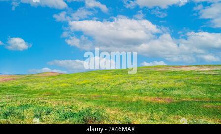 Verdi prati e colline incontrano il cielo blu Foto Stock