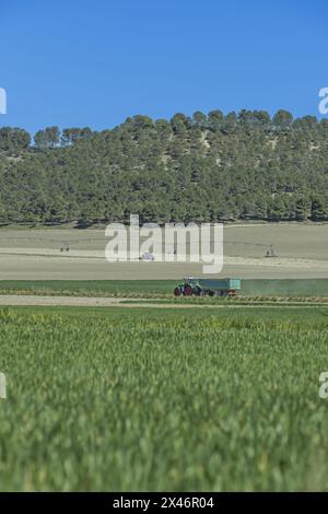 I sistemi lineari meccanizzati richiedono molto meno lavoro manuale rispetto ai metodi di irrigazione ad alluvione, laminazione ad ala e movimento manuale Foto Stock