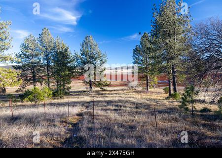 Vista panoramica della prateria forestale. Rancho Cuyamaca Southern California USA State Park, Sunny San Diego County Winter Day Hiking Blue Sky Foto Stock