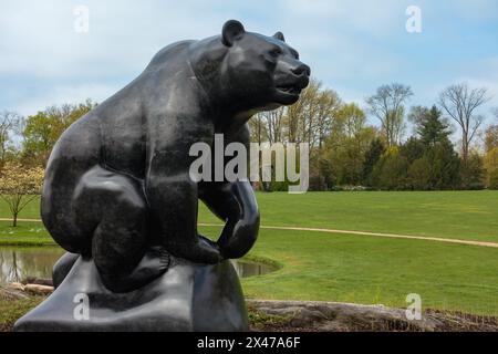 Purchase, NY - US - 28 aprile 2024, David Wynne's 26 ton Grizzly Bear, scolpito in marmo fossile belga. In piedi nel Donald M. Kendall Sculpture Garde Foto Stock