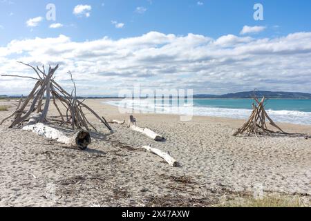 Diftwood ART a Kaka Point Beach, Molyneux Bay, Port Molyneux, Otago, nuova Zelanda Foto Stock