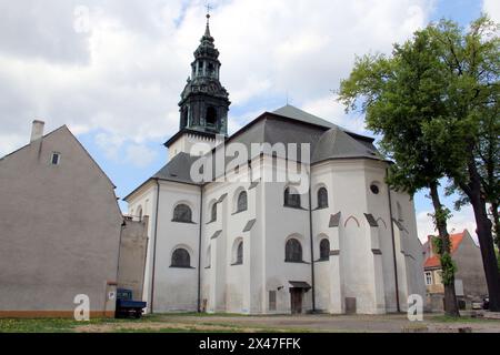 Chiesa di Santa Jadwiga della Slesia, edificio barocco del XVIII secolo, esterno lato altare, Krosno Odrzanskie, Polonia Foto Stock