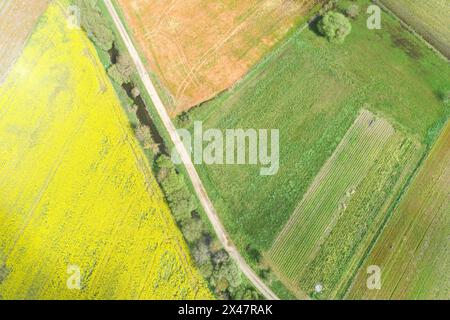 strada tra campi agricoli arati e altri campi coltivati di grano e colza, vista aerea con drone Foto Stock