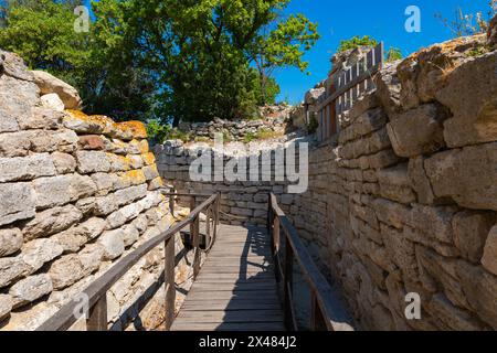 Una passerella in legno tra le rovine dell'antica città di Troia a Canakkale Turkiye. Visita la foto del concept della Turchia. Foto Stock