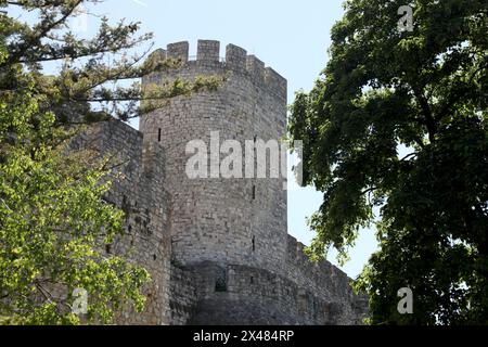 Belgrado. 28 aprile 2024. Questa foto scattata il 28 aprile 2024 mostra la fortezza di Kalemegdan a Belgrado, in Serbia. La Serbia, una nazione situata nella penisola balcanica, è attraversata da molti fiumi come il Danubio, la Sava, la Morava e la Tisa. La sua capitale Belgrado si trova alla confluenza del Danubio e della Sava. Crediti: Li Ying/Xinhua/Alamy Live News Foto Stock