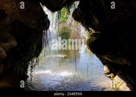 Water Lily Pond nel Parco Bagatelle - Parigi, Francia Foto Stock