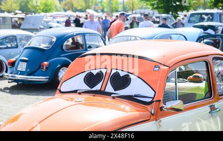 Hannover, Germania. 1° maggio 2024. I coleotteri Volkswagen si presentano al meeting Beetle del 41 maggio presso la zona espositiva. Molte centinaia di proprietari di Volkswagen Beetles e di altre auto d'epoca VW si incontrano nei parcheggi occidentali del centro espositivo. Credito: Julian Stratenschulte/dpa/Alamy Live News Foto Stock