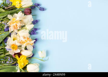 Composizione primaverile su sfondo blu di fiori di tulipani, musari, narcisi, galli con un posto per il testo. Biglietto di auguri per la festa della mamma, happ Foto Stock