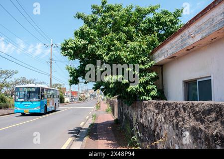 Isola di Jeju, Corea - 25 aprile 2024: Villaggio di Hallim-eup e autobus pubblico cittadino Foto Stock