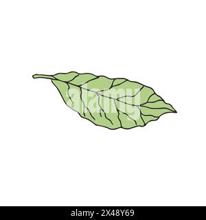 Vettoriale disegnato a mano disegnato a forma di boodle verde foglia di alloro Illustrazione Vettoriale