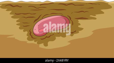 Un seme vegetale interrato in profondità nel suolo per la germinazione Illustrazione Vettoriale