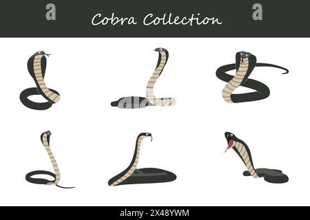 Collezione Cobra. Cobra in pose diverse. Illustrazione vettoriale. Illustrazione Vettoriale
