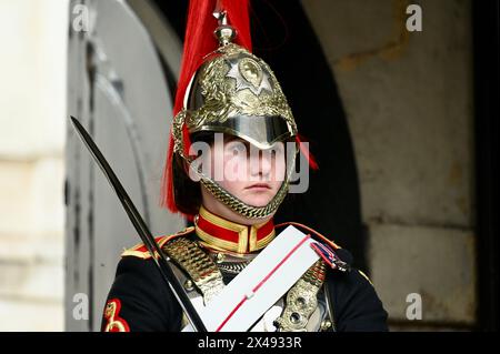 Female Blues and Royals Soldier, Whitehall, Londra, Regno Unito Foto Stock