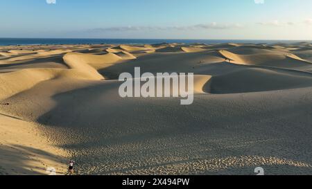 Vista dall'alto delle dune di sabbia di Maspalomas. Vista aerea dell'isola di Gran Canaria. L'oceano incontra le dune di sabbia. Isole Canarie, Spagna Foto Stock