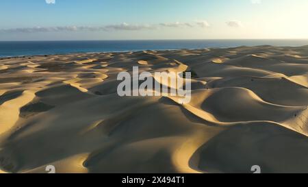 Vista dall'alto delle dune di sabbia di Maspalomas. Vista aerea dell'isola di Gran Canaria. L'oceano incontra le dune di sabbia. Isole Canarie, Spagna Foto Stock