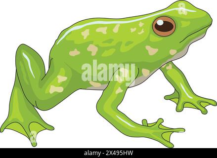 Simpatica rana verde che sembra curiosamente Illustrazione Vettoriale