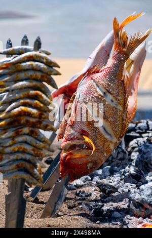 Spiedini di polpo, orata, gamberi e sardine, grigliati su un fuoco a legna in una barca sulla sabbia della spiaggia. Piatto tipico di Malaga, Andalusia, Foto Stock