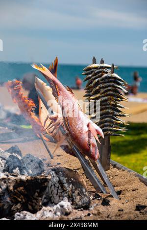 Spiedini di polpo, orata, gamberi e sardine, grigliati su un fuoco a legna in una barca sulla sabbia della spiaggia. Piatto tipico di Malaga, Andalusia, Foto Stock