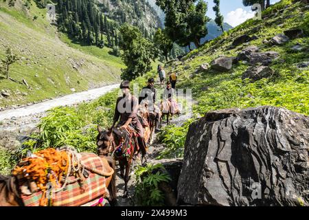 Bakerwal (Gurjar) pastori su cavalli nella valle di Warwan, Kashmir, India Foto Stock