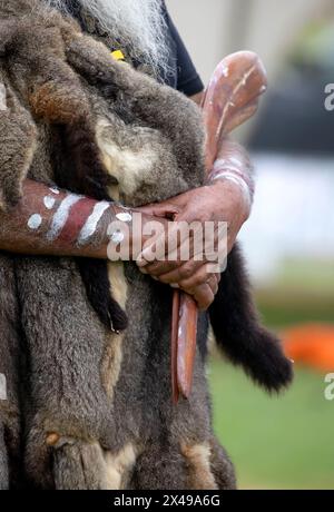 La mano umana tiene i bastoncini rituali per il rituale di benvenuto in un evento della comunità indigena in Australia Foto Stock