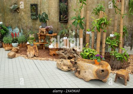 Una vista interna della display Plant House all'interno del Forsgate Conservatory nel Parco di Hong Kong. Foto Stock