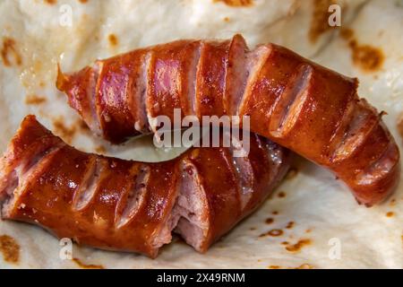 Tortilla wrap, una deliziosa fusione di salumi salati, patatine fritte croccanti, insalata verde fresca, pomodori succosi, cipolle saporite, e il cavolo tagliato Foto Stock