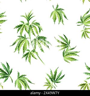 Foglie di cannabis disegnate a mano disegno acquerello senza cuciture, isolate su sfondo bianco Foto Stock