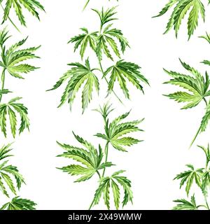 Foglie di cannabis disegnate a mano disegno acquerello senza cuciture Foto Stock