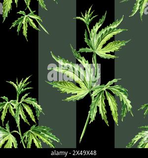 Foglie di cannabis con strisce. Motivo senza cuciture ad acquerello disegnato a mano Foto Stock