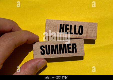 Buongiorno parole estive scritte su blocchi di legno con sfondo giallo. Simbolo concettuale "ciao estate". Copia spazio. Foto Stock