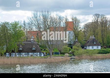 Chiesa, case di paglia, alberi, Sieseby, Schlei, Schleswig-Holstein, Germania Foto Stock