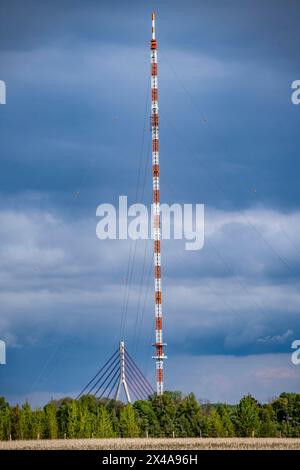 Niederrheinbrücke Wesel, ponte, B58, ponte strallato, trasmettitore Wesel, albero a reticolo in acciaio dissanguato alto 320 metri a Wesel-Büderich, ere Foto Stock