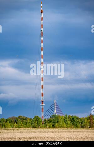 Niederrheinbrücke Wesel, ponte, B58, ponte strallato, trasmettitore Wesel, albero a reticolo in acciaio dissanguato alto 320 metri a Wesel-Büderich, ere Foto Stock